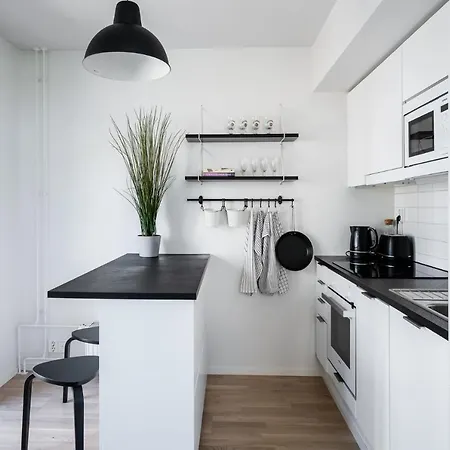 Upea Huoneisto Keskustassa Aurajoen Tuntumassa Apartment Turku