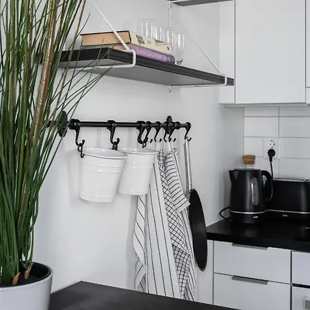Upea Huoneisto Keskustassa Aurajoen Tuntumassa Apartment *